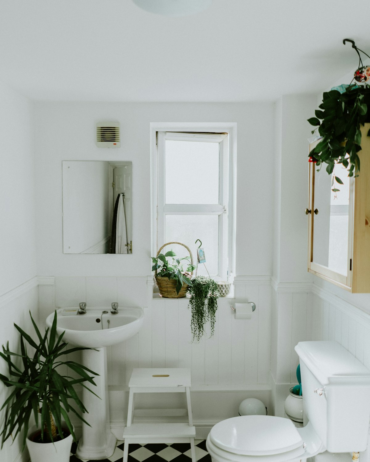 Bright white bathroom with plants by the window